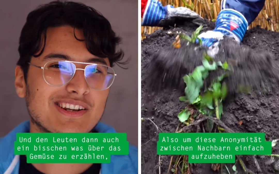 MoinZukunft-Film über Urban Gardening am KulturEnergieBunker