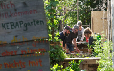 “Komplizen für die Zukunft” (Hamburger Abendblatt)